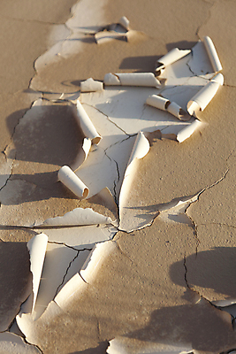 포토 JPG 해외이미지 공원 유럽 여행 자연 국립공원 풍경 사람없음 맑음 스페인 내추럴 해외202004 해외포토 공공시설 나라 날씨 생태계 파일형식 이미지허브