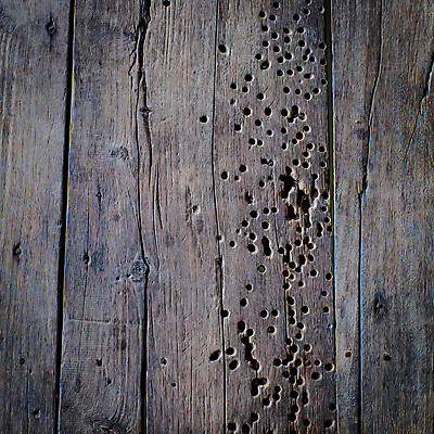 포토 JPG 해외이미지 디자인 벽 가구 백그라운드 패턴 자연 탁자 표면 추상 바닥 프레임 사람없음 목재 갈색 마을 어둠 황혼 줄무늬 공백 소나무 판넬 구멍 그룹 변화 널 낟알 목수 책상 질감 복고 매듭 목공예 결 전나무 내추럴 수목 옛날 파케트 해외202004 해외포토 나무 직업 컬러 생활용품 컨셉 무늬 재료 일몰 공예 생태계 파일형식 이미지허브