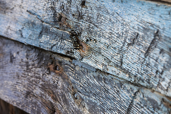 포토 JPG 해외이미지 계절 모래 바다 줄기 여행 교통시설 자연 하늘 항해 해변 사람없음 목재 물 기댐 손상 추위 프랑스 보트 닫기 사건 버리기 부식 함선 깨짐 노르망디 바이킹 옛날 조난 수평선 해외202004 해외포토 자연요소 나무 식물 유럽 교통 컨셉 배_교통 재료 모션 시설 생태계 파일형식 이미지허브