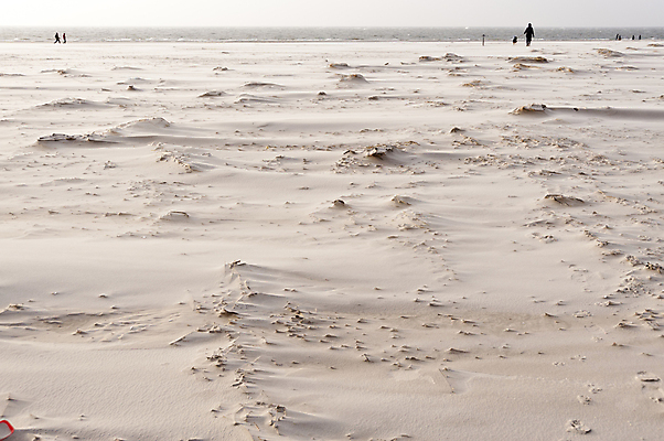 포토 JPG 해외이미지 건축물 호수 모래 바다 섬 백그라운드 패턴 자연 조개 독일 국립공원 풍경 사람없음 물 사막 껍질 모래언덕 부식 질감 홍합 해외202004 해외포토 자연요소 공원 건축 유럽 무늬 어패류 언덕 생태계 파일형식 이미지허브