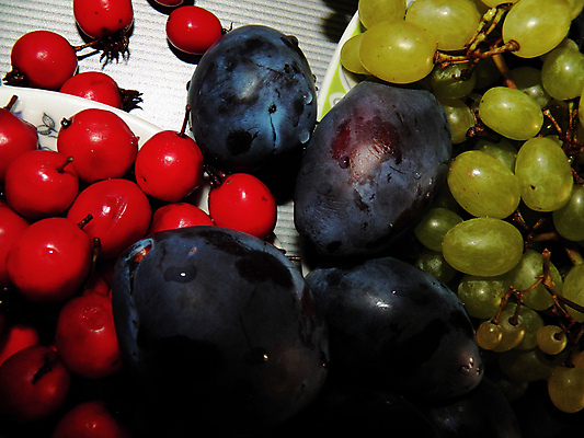 포토 JPG 해외이미지 식물 접시 계절 열매 음식 백그라운드 과일 재료 자연 탁자 포도 디저트 건강 사람없음 빨간색 초록색 약 보라색 활발 젖음 금지 흰색 물방울 나뭇가지 신선 그룹 재산 달콤 큼 자르기 먹기 오브젝트 유기농 날것 자두 숙성 해외202004 해외포토 나무 식기 웰빙 컬러 가구 컨셉 의학 모션 금융 맛 크기 생태계 파일형식 이미지허브