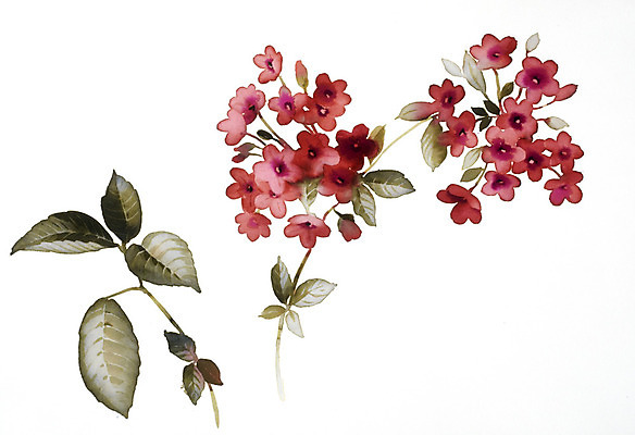 JPG 해외이미지 식물 꽃 꽃다발 일러스트 붓터치 수채화 사람없음 그림 번짐 해외202004 해외일러스트 파일형식 효과 이미지허브