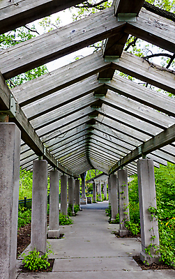 포토 JPG 해외이미지 식물 자연 사람없음 야외 목재 정원 미국 해외202004 해외포토 나무 북아메리카 재료 생태계 파일형식 이미지허브