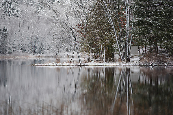 포토 JPG 해외이미지 나무 호수 겨울 자연 아침 사람없음 야외 물 강 반사 평화 환경 침묵 추위 흰색 나뭇가지 시골 신선 황무지 숲 11월 속도 침엽수 흐림 야광 내추럴 삼림지대 해외202004 해외포토 주간 자연요소 식물 계절 컬러 컨셉 날씨 빛 소리 날짜 생태계 파일형식 이미지허브