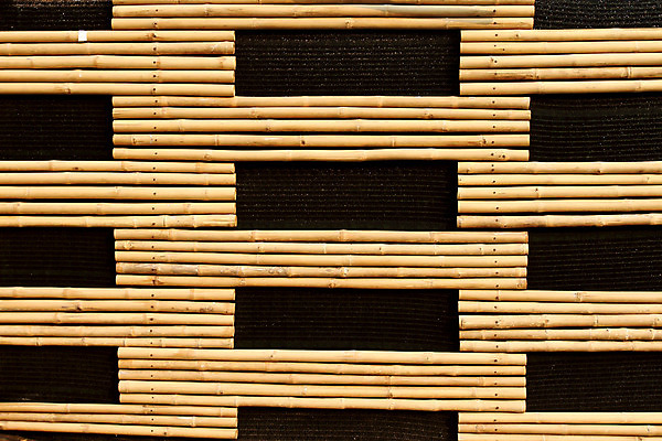 포토 JPG 해외이미지 나무 식물 아시아 선 줄기 백그라운드 패턴 자연 추상 동양인 사람없음 목재 세로 노란색 쌓기 정원 일본 중국 나뭇가지 막대기 숲 대나무 질감 총쏘기 해외202004 해외포토 나라 컬러 무늬 재료 모션 인종 생태계 파일형식 이미지허브