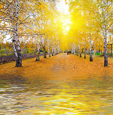 포토 JPG 해외이미지 나무 식물 계절 공원 얼굴 파도 백그라운드 잎 오렌지 자연 벽지 미소 풍경 사람없음 야외 목재 빨간색 초록색 물 햇빛 태양 반사 노란색 걷기 환경 정원 일몰 가을 시골 신선 황금 숲 내추럴 해외202004 해외포토 자연요소 공공시설 바다 컬러 과일 재료 모션 표정 신체부위 노을 생태계 파일형식 이미지허브