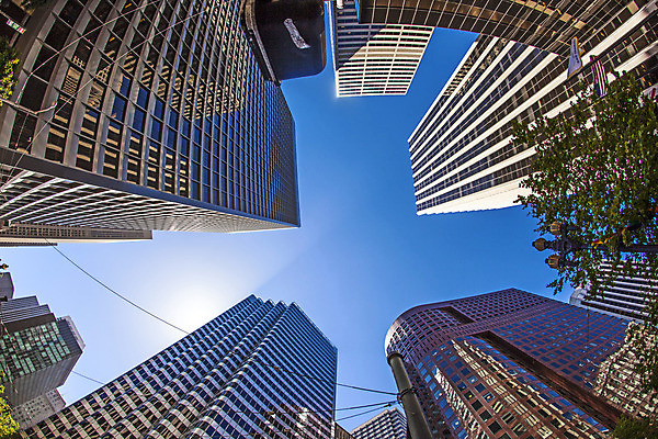 포토 JPG 해외이미지 나무 공원 도로 여행 곡선 건축양식 거리 주택 풍경 사람없음 야외 건물 여름 파란색 도시풍경 세계 여행객 정원 맑음 미국 도시 만 정상 언덕 조경 캘리포니아 스카이라인 어안 인기 해외202004 해외포토 식물 건축물 계절 공공시설 건축 길 선 컬러 북아메리카 교통시설 날씨 사람 파일형식 이미지허브