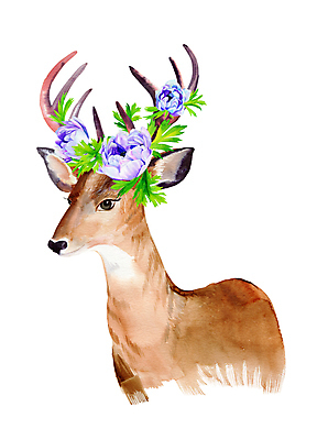 JPG 해외이미지 한마리 꽃 잎 일러스트 사슴 수채화 사람없음 그림 사슴뿔 해외202004 해외일러스트 식물 1 포유류 뿔 파일형식 이미지허브