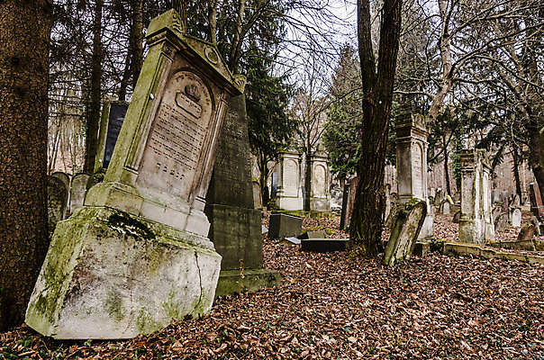 포토 JPG 해외이미지 꽃 기독교 종교 지구 백그라운드 십자가 부활절 사람없음 목재 조각상 검은색 성경 바위 기도 죽음 예수 영혼 목사 심볼 애도 신성 땅파기 신앙심 옛날 장례식 오싹 해외202004 해외포토 나무 식물 기념일 컬러 재료 종교용품 조형물 신_종교 성직자 파일형식 이미지허브