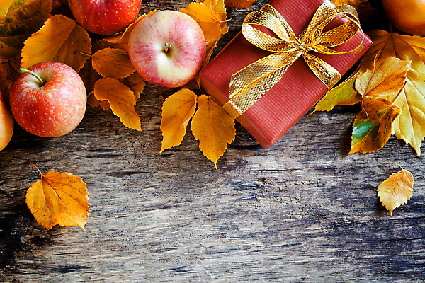 포토 JPG 해외이미지 식물 음식 백그라운드 잎 오렌지 과일 자연 날씨 사람없음 야외 목재 빨간색 초록색 컬러풀 갈색 노란색 정원 검은색 회색 가을 흰색 닫기 사과 숲 질감 추수감사절 옛날 해외202004 해외포토 나무 계절 기독교 컬러 재료 모션 생태계 파일형식 이미지허브