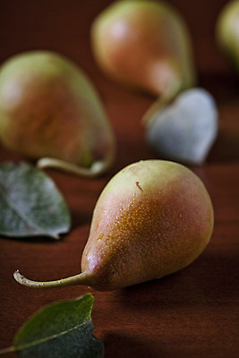 포토 JPG 해외이미지 음식 잎 과일 사람없음 초록색 갈색 검은색 사발 해외202004 해외포토 식물 컬러 사기그릇 파일형식 이미지허브