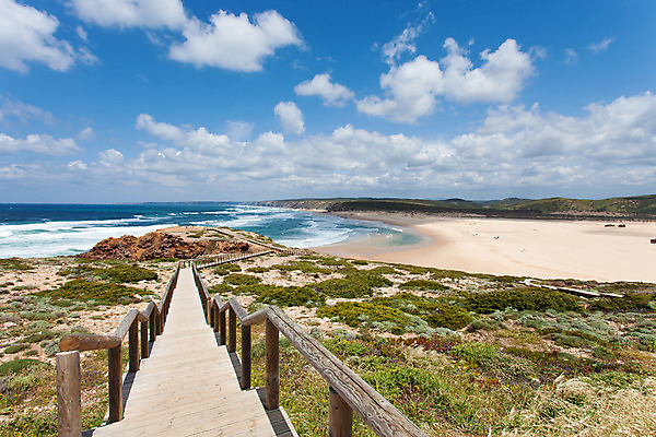 포토 JPG 해외이미지 식물 꽃 모래 바다 여행 자연 휴가 휴식 풍경 사람없음 물 침묵 자유 벚꽃 시골 만 개화 포르투갈 엽서 천국 대서양 파라다이스 회복 해외202004 해외포토 자연요소 유럽 컨셉 소리 편지 생태계 파일형식 이미지허브