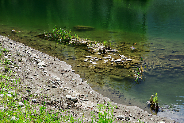 포토 JPG 해외이미지 식물 호수 자연 사람없음 초록색 물 환경 성장 연못 신선 생물학 해외202004 해외포토 자연요소 교육 컬러 생태계 파일형식 이미지허브