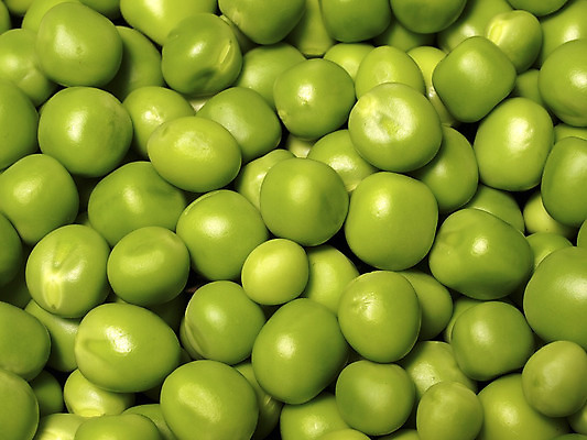 포토 JPG 해외이미지 음식 사람없음 초록색 식사 먹기 완두콩 해외202004 해외포토 컬러 모션 콩 파일형식 이미지허브