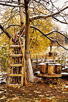 포토 JPG 해외이미지 주간 나무 전통 디자인 외관 문화 잎 건축양식 자연 지붕 유물 주택 미술 풍경 여러명 사람없음 건물 목재 장식 노란색 마을 골동품 가을 시골 도시 바퀴 그리기 역사 오브젝트 박물관 공화국 안뜰 옛날 조지아 해외202004 해외포토 자연요소 식물 건축물 계절 건축 나라 컬러 다수 재료 모션 문화예술 사람 생태계 동유럽 파일형식 이미지허브