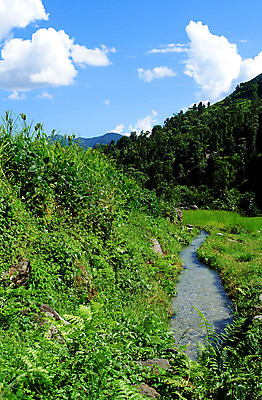 포토 JPG 해외이미지 식물 전통 아시아 문화 음식 여행 백그라운드 패턴 농업 자연 하늘 밥 산 풍경 사람없음 초록색 물 농작물 농장 마을 계곡 트래킹 젖음 수확 시골 낟알 땅 언덕 질감 네팔 단계 산악지대 광합성 논밭 생태학 히말라야 해외202004 해외포토 자연요소 교육 나라 산업 컬러 무늬 밭 레저 논 생태계 파일형식 산맥 이미지허브