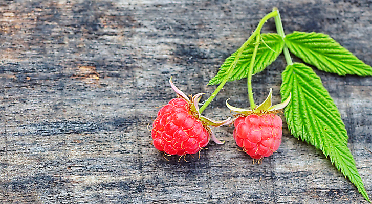 포토 JPG 해외이미지 식물 라이프스타일 열매 음식 줄기 분홍색 잎 2 다이어트 채소 과일 자연 디저트 건강 요리 사람없음 목재 빨간색 초록색 여름 주방 활발 수확 신선 그룹 달콤 맛 먹기 유기농 산딸기 부드러움 건강식 내추럴 고립 바이오 숙성 옛날 채식주의자 해외202004 해외포토 나무 웰빙 계절 컬러 컨셉 농업 재료 모션 생활 감각 생태계 채식 파일형식 이미지허브