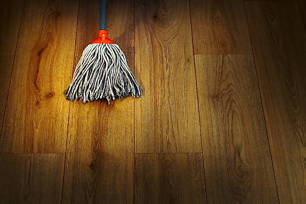 포토 JPG 해외이미지 직업 가사 가정 바닥 주택 실내 손잡이 사람없음 내부 목재 물 빛 갈색 방 장비 젖음 공구 붓 업무 위생 씻기 빨래 플라스틱 빗자루 청소 오브젝트 서비스 먼지 섬유 청소부 유지 스펀지 대걸레 소독 위생관리 정리함 파케트 해외202004 해외포토 자연요소 나무 컬러 재료 재질 관리 건물 청결 도구 직물 작업 청소도구 파일형식 이미지허브