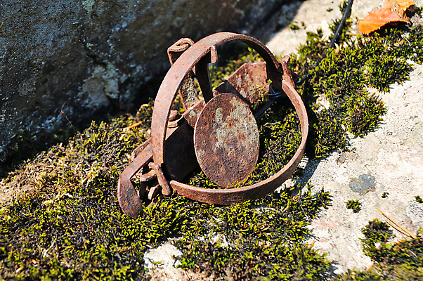 포토 JPG 해외이미지 1 경고 이끼 사람없음 금속 기계 고통 장비 공구 잡기 업무 해충 위험 철 오브젝트 부식 사냥 올가미 빚 철강 해외202004 해외포토 감정 컨셉 모션 재질 경제 도구 작업 벌레 파일형식 이미지허브