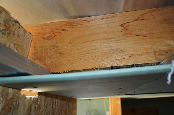 포토 JPG 해외이미지 직업 남자 산업 벽 아파트 주택 프레임 기술 사람 성인 사람없음 내부 건물 방 공구 나사 서비스 천장 주인 건축업자 계약자 설치 업그레이드 해외202004 해외포토 건축물 건축 도구 계약 파일형식 이미지허브