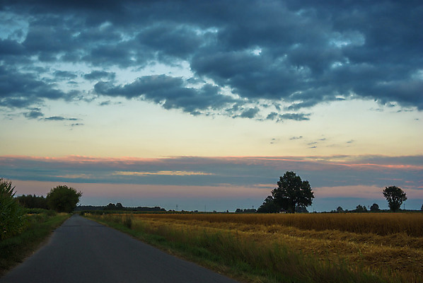 포토 JPG 해외이미지 나무 식물 구름 계절 공원 실루엣 여행 백그라운드 밭 오렌지 자연 하늘 휴가 따뜻함 그림자 풍경 사람없음 야외 빨간색 초록색 여름 파란색 빛 햇빛 태양 노란색 평화 일출 환경 침묵 황혼 일몰 새벽 황금 저녁 숲 장면 내추럴 수평선 해외202004 해외포토 자연요소 공공시설 컬러 컨셉 농업 과일 촬영기법 노을 소리 야간 생태계 파일형식 이미지허브