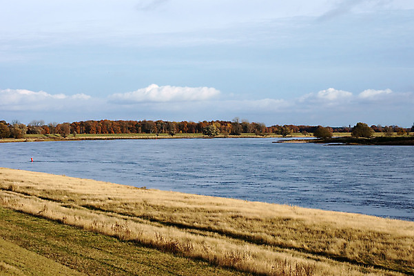 포토 JPG 해외이미지 나무 식물 구름 계절 자연 하늘 독일 풍경 잔디 사람없음 물 강 가을 보호구역 해외202004 해외포토 자연요소 유럽 생태계 구역 파일형식 이미지허브