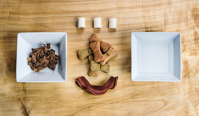 포토 JPG 해외이미지 모양 접시 디자인 산업 음식 백그라운드 뼈 서브 건조 요리 사람없음 목재 가로 물 반려동물 갈색 노란색 쿠키 요식업 식사 대접 개 작음 자르기 매듭 송곳니 세련 차단 해외202004 해외포토 자연요소 나무 동물 식기 컬러 재료 포유류 모션 디저트 치아 크기 파일형식 이미지허브