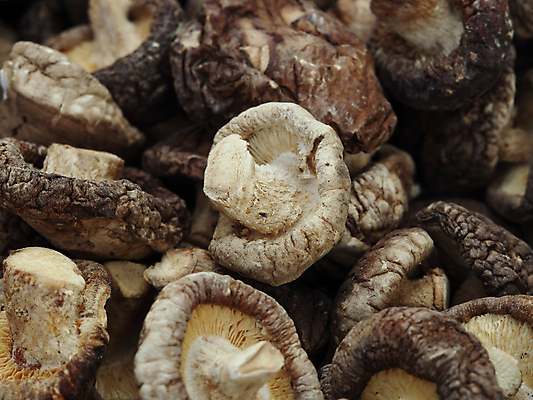 포토 JPG 해외이미지 음식 줄기 백그라운드 패턴 채소 재료 자연 건조 건강 요리 사람없음 약 갈색 쌓기 중국 버섯 신선 그룹 닫기 유기농 질감 날것 흙더미 내추럴 곰팡이 생식 채식주의자 해외202004 해외포토 식물 웰빙 아시아 컬러 무늬 의학 모션 흙 생태계 채식 파일형식 더미 이미지허브