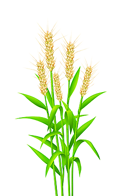 포토 JPG 해외이미지 식물 줄기 잎 일러스트 자연 경사 사람없음 장식 초록색 노란색 새싹 환경 정원 봄 성장 나뭇가지 신선 개화 닫기 작음 묘사 오브젝트 원예 내추럴 미니 그리너리 부족함 해외202004 해외포토 나무 계절 꽃 컬러 컨셉 모션 취미 크기 생태계 파일형식 트랜드컬러 이미지허브