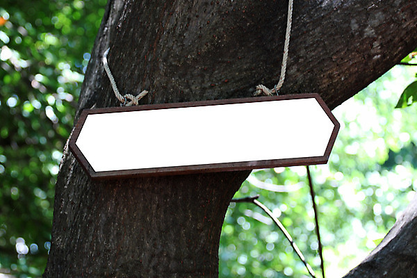 포토 JPG 해외이미지 나무 자연 매달리기 사람없음 목재 라벨 나뭇가지 심볼 공지사항 내추럴 소통 삼림지대 수목 해외202004 해외포토 식물 컨셉 재료 모션 프레임 숲 생태계 파일형식 이미지허브