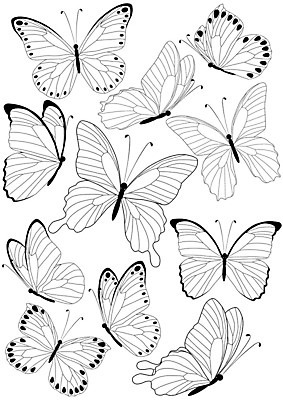 포토 JPG 해외이미지 동물 계절 실루엣 나비 곤충 날개 자연 사람없음 장식 세트 환경 봄 만화 수집 심볼 고립 엘리먼트 해외202004 해외포토 촬영기법 생태계 파일형식 이미지허브