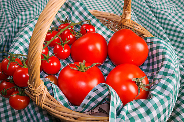 포토 JPG 해외이미지 전통 음식 토마토 채소 재료 방울토마토 탁자 건강 사람없음 가로 빨간색 바구니 여러개 식탁보 시골 직물 작음 큼 묘사 체크무늬 날것 숙성 정물화 채식주의자 많음 해외202004 해외포토 컬러 가구 다수 컨셉 무늬 크기 그림 채식 파일형식 이미지허브