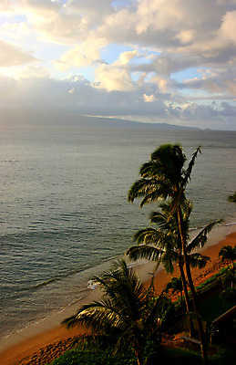 포토 JPG 해외이미지 문화 모래 섬 휴가 건강 그림자 사람없음 빨간색 물 파란색 야자수 여행객 미국 일몰 새벽 만 저녁 하와이 태평양 남쪽 파라다이스 해외202004 해외포토 자연요소 나무 바다 컬러 북아메리카 사람 노을 야간 방향 파일형식 이미지허브