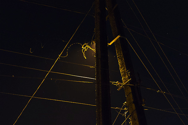 포토 JPG 해외이미지 나무 공원 실루엣 별 하늘 조명 풍경 사람없음 우주 검은색 어둠 침묵 새벽 야간 조경 장면 지역 교외 해외202004 해외포토 자연요소 식물 공공시설 컬러 촬영기법 소리 파일형식 이미지허브