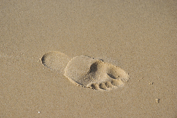 포토 JPG 해외이미지 길 모래 바다 여행 백그라운드 맨발 자연 휴가 휴식 사람 해변 사람없음 야외 모래사장 평화 산책 자유 인쇄 발자국 단계 선로 양발 혼자 각인 해외202004 해외포토 컨셉 자국 발 생태계 파일형식 이미지허브