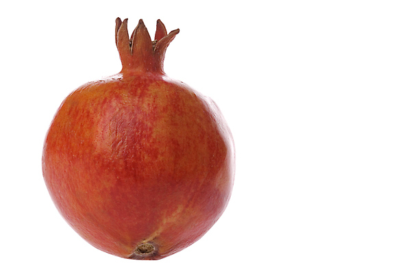 포토 JPG 해외이미지 음식 농업 다이어트 과일 자연 디저트 건강 사람없음 신선 닫기 달콤 맛 석류 고립 숙성 이국적 해외202004 해외포토 산업 컨셉 모션 생태계 파일형식 이미지허브