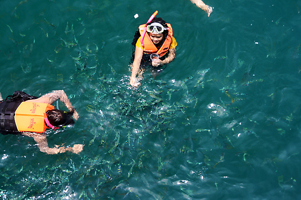 포토 JPG 해외이미지 식물 남자 음식 스포츠 바다 섬 여행 포즈 이동 모션 자연 하늘 휴가 어류 가면 사람 사람없음 물 여름 파란색 수중 수영 관찰 그룹 구출 위험 먹이 손목시계 다이빙 수영선수 암초 해외202004 해외포토 자연요소 계절 시계 컬러 컨셉 장신구 운동선수 수중동물 수상스포츠 도움 생태계 수중스포츠 파일형식 이미지허브