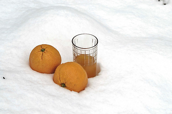 포토 JPG 해외이미지 음료 음식 백그라운드 겨울 다이어트 오렌지 과일 자연 귤 건강 사람없음 노란색 정원 주스 활발 추위 흰색 신선 액체 달콤 맛 상쾌 유기농 날것 강렬 불가리아 숙성 해외202004 해외포토 웰빙 계절 감정 컬러 컨셉 생태계 파일형식 남유럽 이미지허브