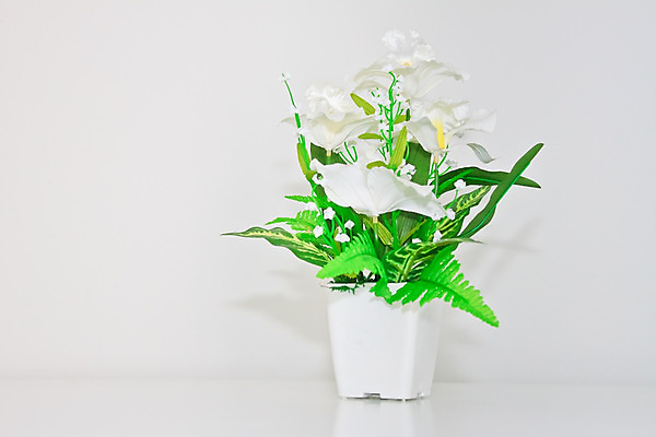 포토 JPG 해외이미지 식물 꽃 백그라운드 국화 사람없음 장식 컬러풀 가을 벨벳 해외202004 해외포토 계절 컬러 실크 파일형식 이미지허브