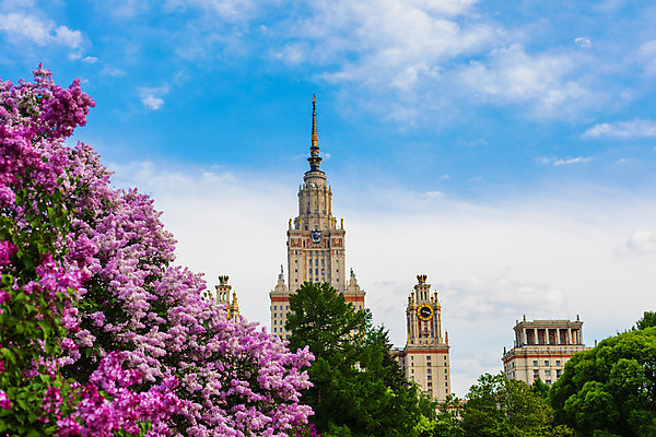 포토 JPG 해외이미지 나무 식물 디자인 계절 꽃잎 꽃 줄기 여행 백그라운드 잎 꽃무늬 자연 하늘 선물 사람없음 장식 초록색 파란색 정원 맑음 보라색 봄 벚꽃 흰색 나뭇가지 개화 작음 5월 다발 제비꽃 대학교 냄새 라일락 내추럴 모스크바 해외202004 해외포토 컬러 무늬 학교 날씨 날짜 크기 생태계 러시아 파일형식 이미지허브