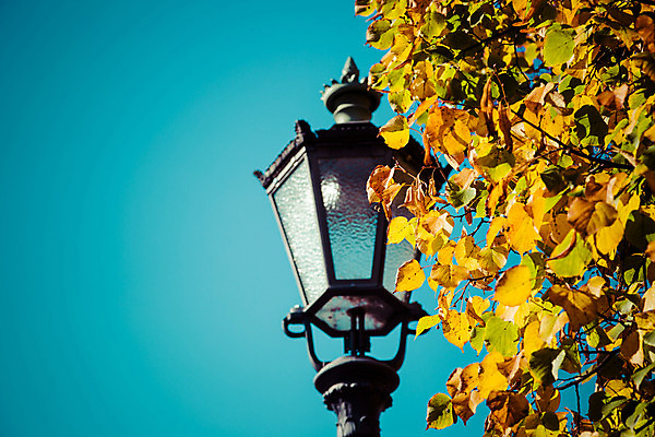 포토 JPG 해외이미지 나무 응시 도로 길 백그라운드 오렌지 하늘 따뜻함 사랑 사람없음 빨간색 초록색 컬러풀 노란색 여행객 놀람 산책 공백 수확 가을 램프 도시 방향 향수 복고 베를린 감탄 환상 현실 해외202004 해외포토 식물 시선 계절 감정 컬러 컨셉 농업 과일 교통시설 휴식 조명 독일 표정 사람 화장품 파일형식 이미지허브