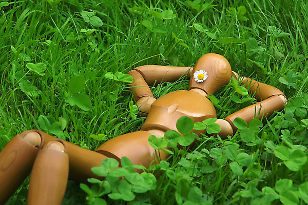 포토 JPG 해외이미지 꽃 캠페인 자연 휴가 휴식 건강 사람없음 야외 목재 태양 시골 잠 클로버 마네킹 해외202004 해외포토 자연요소 나무 식물 컨셉 재료 생태계 파일형식 이미지허브