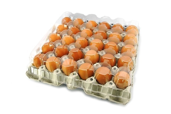 포토 JPG 해외이미지 동물 음식 컨셉 다이어트 재료 자연 조류 부활절 오리 건강 요리 사람없음 상자 농장 갈색 노란색 바구니 계란 치킨 성장 껍질 흰색 신선 얼룩 액체 그룹 아침식사 배열 먹기 유기농 날것 칼로리 내추럴 개발 고립 깨짐 단백질 생식 암탉 처음 취급주의 해외202004 해외포토 웰빙 기념일 컬러 농업 모션 경고 알 식사 닭 암컷 생태계 닭고기요리 영양소 파일형식 이미지허브