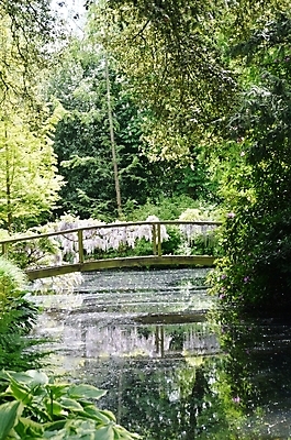 포토 JPG 해외이미지 나무 식물 공원 호수 곡선 자연 풍경 사람없음 야외 목재 초록색 물 여름 강 평화 걷기 정원 침묵 고요 봄 산책 연못 숲 아치 내추럴 해외202004 해외포토 자연요소 계절 공공시설 선 컬러 컨셉 재료 모션 휴식 소리 생태계 파일형식 이미지허브