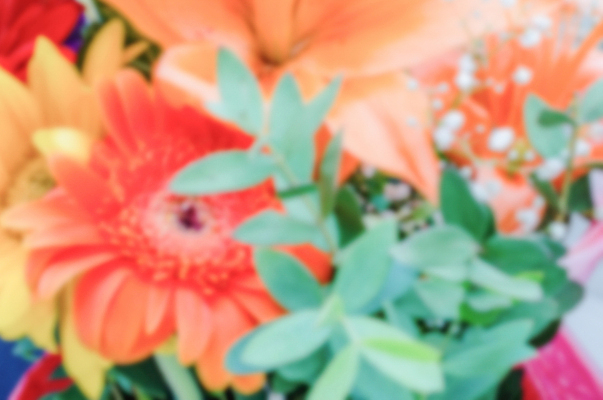 포토 JPG 해외이미지 식물 꽃 분홍색 꽃다발 백그라운드 꽃무늬 밭 오렌지 자연 선물 사람없음 초록색 컬러풀 노란색 정원 보라색 봄 흰색 개화 그룹 닫기 혼합 소프트포커스 다발 배열 데이지 보케 고립 섞기 캐모마일 많음 해외202004 해외포토 계절 컬러 컨셉 무늬 농업 과일 모션 촬영기법 허브 생태계 파일형식 이미지허브