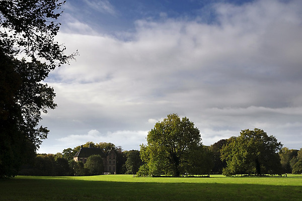 포토 JPG 해외이미지 나무 구름 공원 자연 하늘 풍경 사람없음 파란색 시골 재산 해외202004 해외포토 자연요소 식물 공공시설 컬러 금융 생태계 파일형식 이미지허브