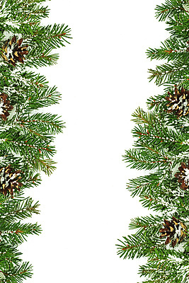 포토 JPG 해외이미지 나무 식물 백그라운드 크리스마스 겨울 자연 휴가 새로움 새해 프레임 사람없음 장식 초록색 축제 추위 흰색 나뭇가지 축하 눈송이 숲 연도 정사각형 뼈대 상록수 침엽수 전나무 원뿔 내추럴 고립 구성 가문비나무 해외202004 해외포토 도형 계절 기념일 컬러 컨셉 눈_날씨 생태계 파일형식 이미지허브