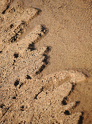 포토 JPG 해외이미지 물결 모래 파도 백그라운드 패턴 자연 사람없음 노란색 줄무늬 질감 효과 해외202004 해외포토 바다 컬러 무늬 생태계 파일형식 이미지허브