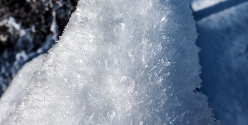 포토 JPG 해외이미지 나무 겨울 아침 사람없음 야외 파란색 햇빛 맑음 냉동 얼음 추위 가을 흰색 시골 숲 11월 속도 서리 결정체 반투명 해외202004 해외포토 주간 자연요소 식물 계절 컬러 날씨 태양 날짜 파일형식 이미지허브