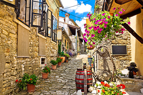 포토 JPG 해외이미지 식물 전통 유럽 도로 길 벽 채소 건축양식 거리 주택 사람없음 건물 장식 초록색 마을 자전거 바위 시골 도시 중세 역사 재산 땅 지중해 올리브 정사각형 장면 타운 크로아티아 설정 달마시안 방법 옛날 해외202004 해외포토 도형 건축물 열매 건축 나라 바다 컬러 교통시설 금융 바이크 돌_바위 개 파일형식 이미지허브